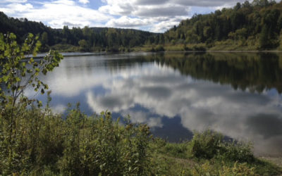 Late September at the Pond